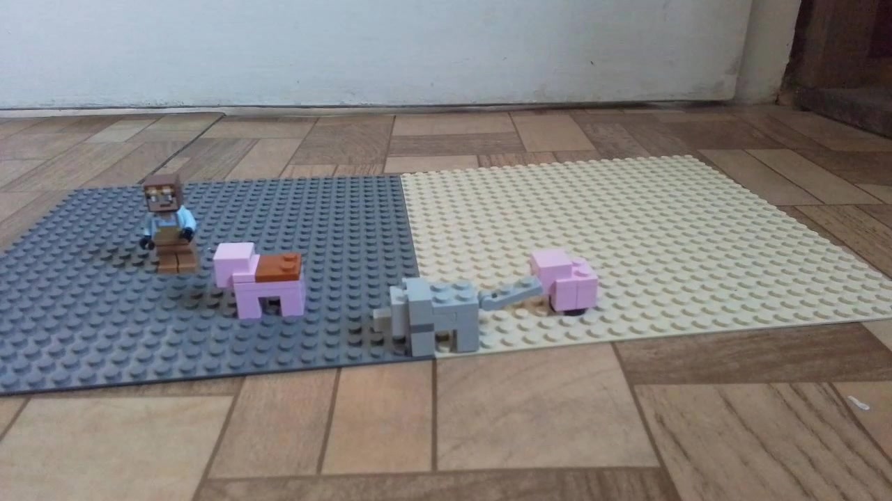 My Stop Motion Movie(4)